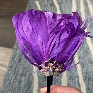 Crown jewel and feathered headband